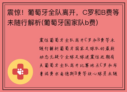 震惊！葡萄牙全队离开，C罗和B费等未随行解析(葡萄牙国家队b费)